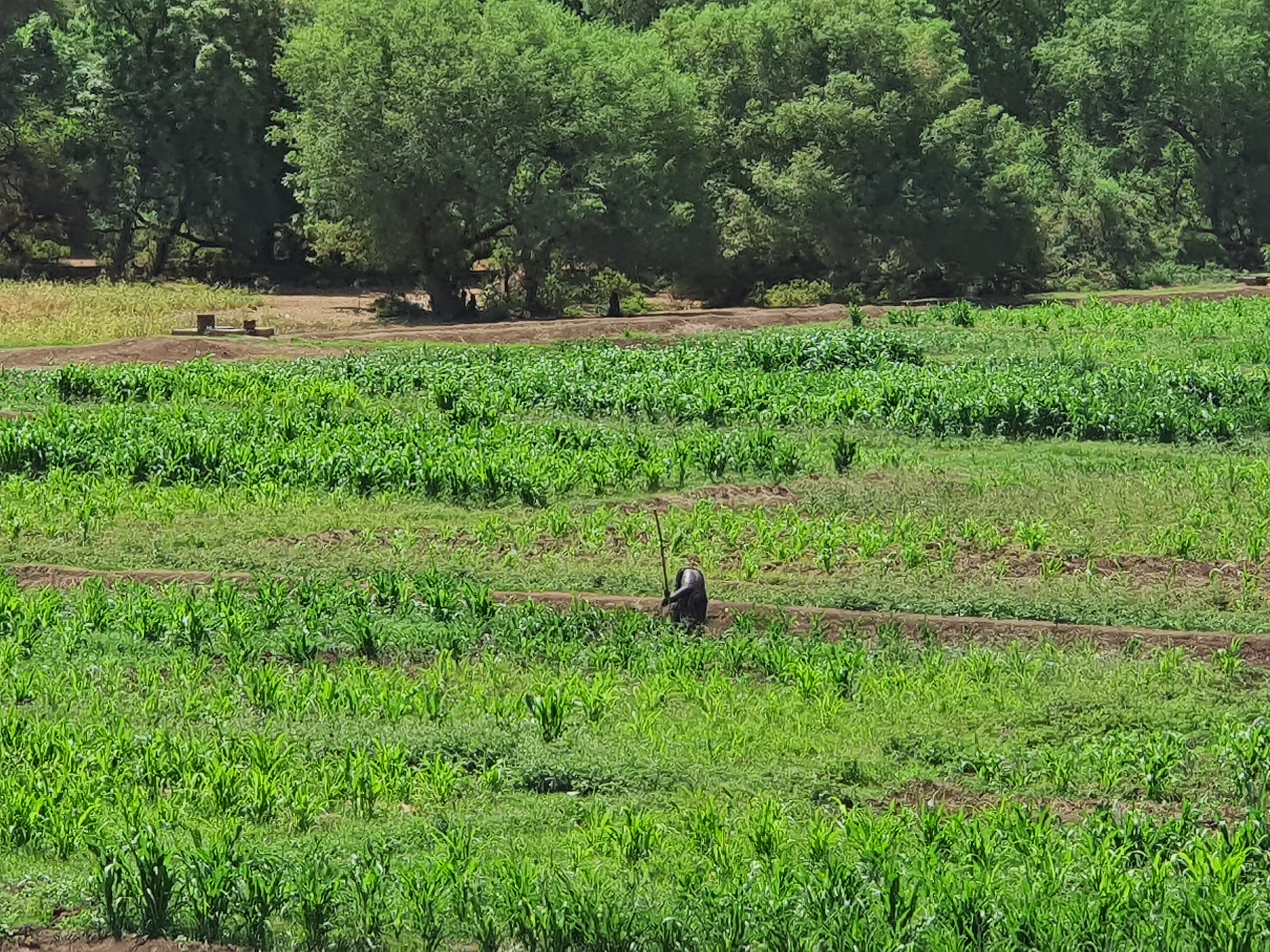 Platform digital en Éthiopie - Image 2